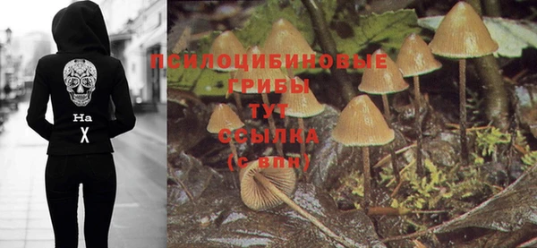 кристаллы Бородино