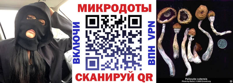 Галлюциногенные грибы мицелий  дарнет шоп  Волжский 